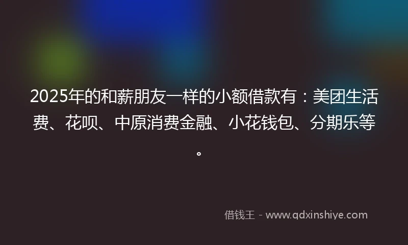 2025年的和薪朋友一样的小额借款有：美团生活费、花呗、中原消费金融、小花钱包、分期乐等。