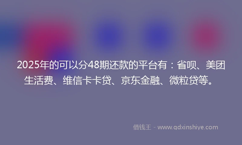 2025年的可以分48期还款的平台有：省呗、美团生活费、维信卡卡贷、京东金融、微粒贷等。