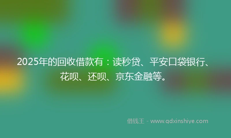 2025年的回收借款有：读秒贷、平安口袋银行、花呗、还呗、京东金融等。