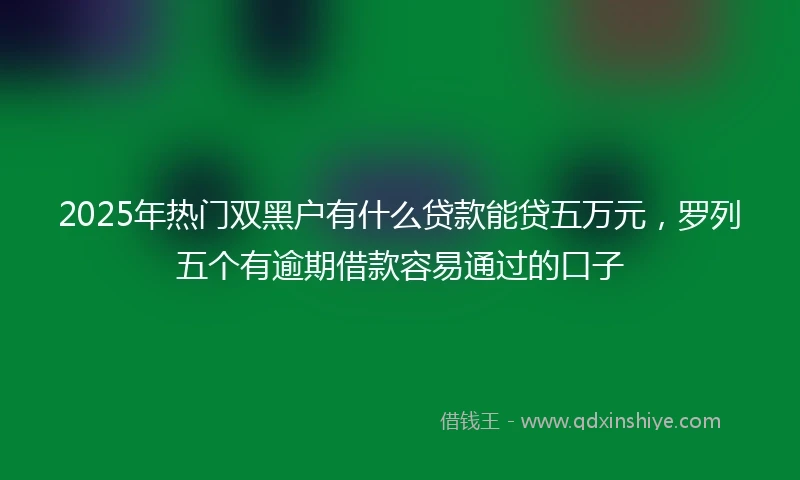 2025年热门双黑户有什么贷款能贷五万元，罗列五个有逾期借款容易通过的口子