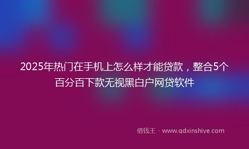 2025年热门在手机上怎么样才能贷款，整合5个百分百下款无视黑白户网贷软件