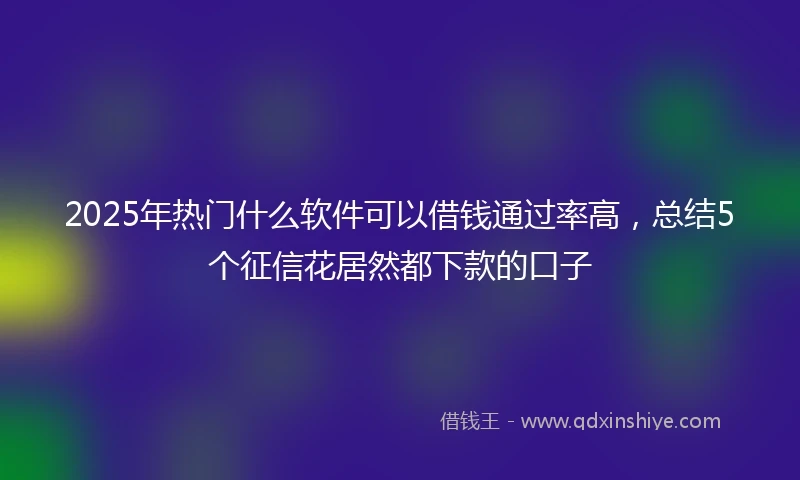 2025年热门什么软件可以借钱通过率高，总结5个征信花居然都下款的口子