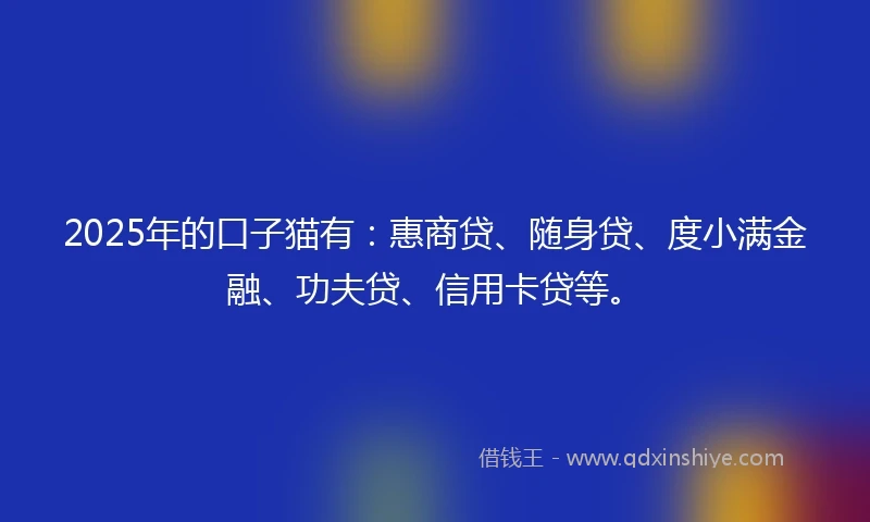 2025年的口子猫有:惠商贷、随身贷、度小满金融、功夫贷、信用卡贷等。
