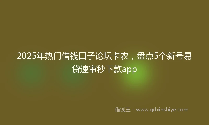2025年热门借钱口子论坛卡农，盘点5个新号易贷速审秒下款app