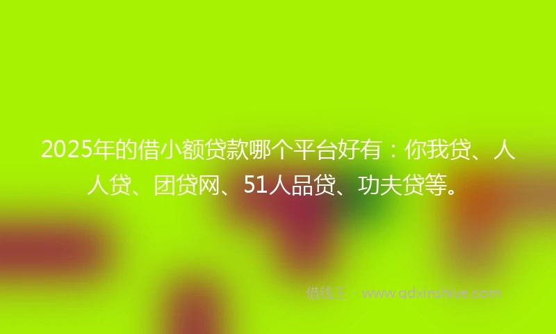 2025年的借小额贷款哪个平台好有：你我贷、人人贷、团贷网、51人品贷、功夫贷等。