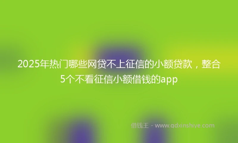 2025年热门哪些网贷不上征信的小额贷款，整合5个不看征信小额借钱的app