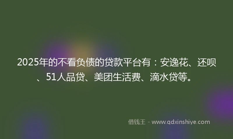 2025年的不看负债的贷款平台有：安逸花、还呗、51人品贷、美团生活费、滴水贷等。