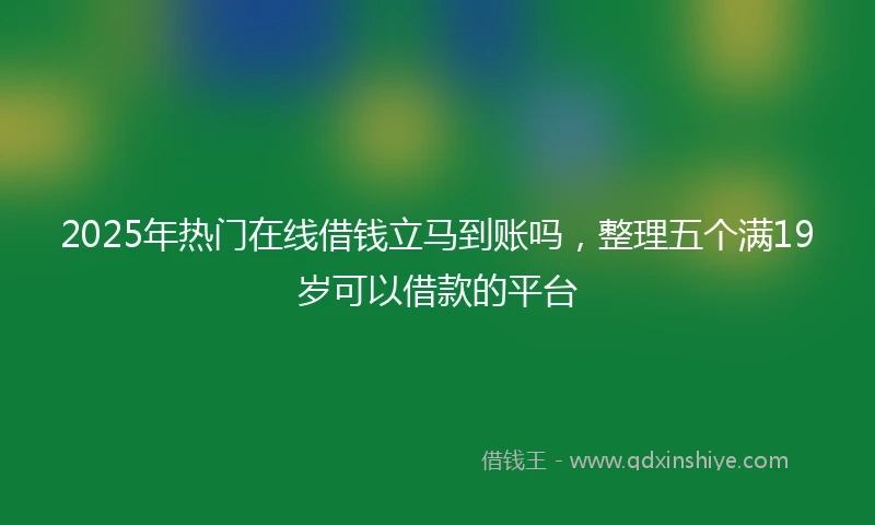 2025年热门在线借钱立马到账吗，整理五个满19岁可以借款的平台