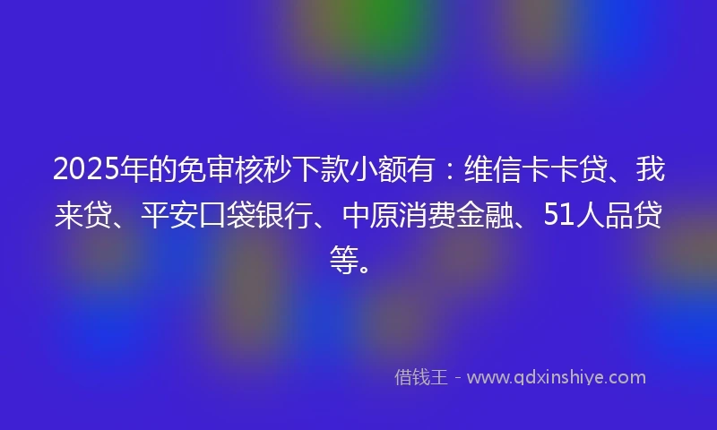 2025年的免审核秒下款小额有：维信卡卡贷、我来贷、平安口袋银行、中原消费金融、51人品贷等。