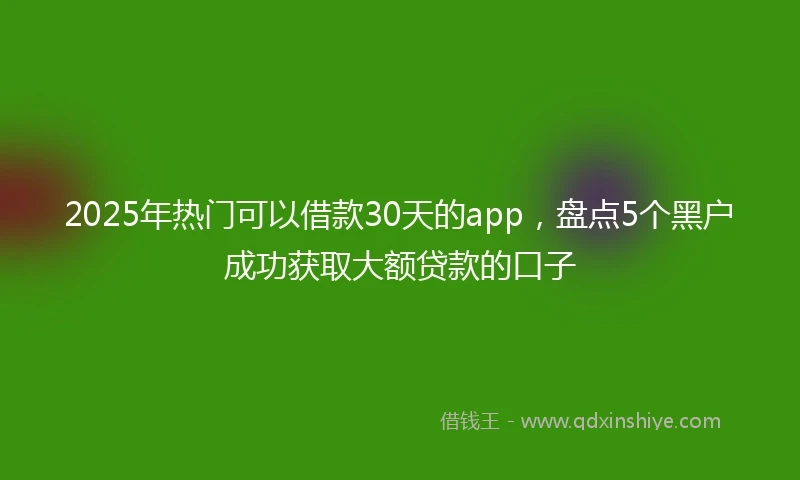 2025年热门可以借款30天的app,盘点5个黑户成功获取大额贷款的口子