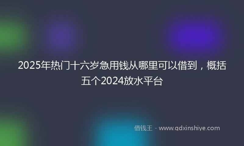 2025年热门十六岁急用钱从哪里可以借到，概括五个2024放水平台