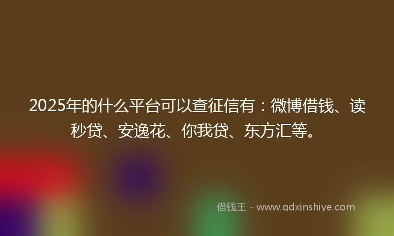 2025年的什么平台可以查征信有：微博借钱、读秒贷、安逸花、你我贷、东方汇等。