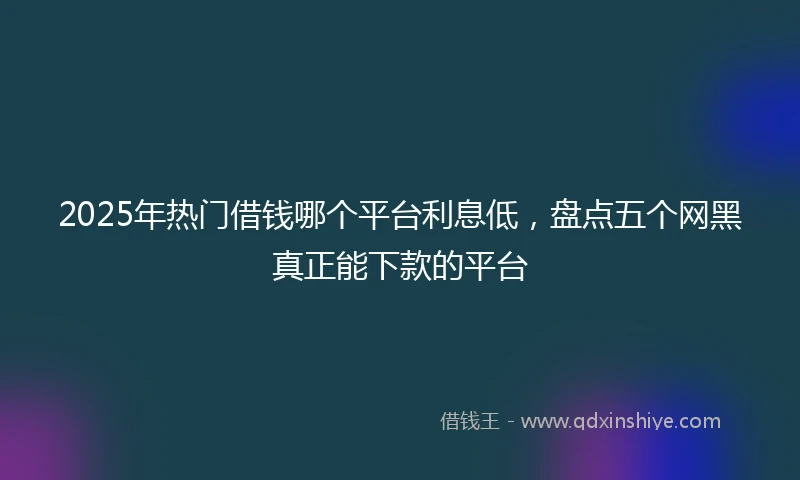 2025年热门借钱哪个平台利息低，盘点五个网黑真正能下款的平台