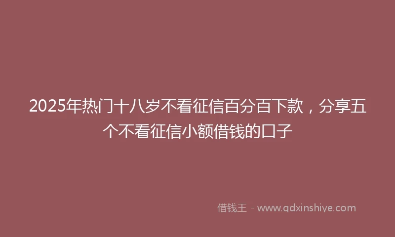 2025年热门十八岁不看征信百分百下款，分享五个不看征信小额借钱的口子