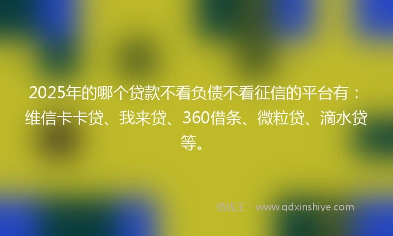 2025年的哪个贷款不看负债不看征信的平台有：维信卡卡贷、我来贷、360借条、微粒贷、滴水贷等。