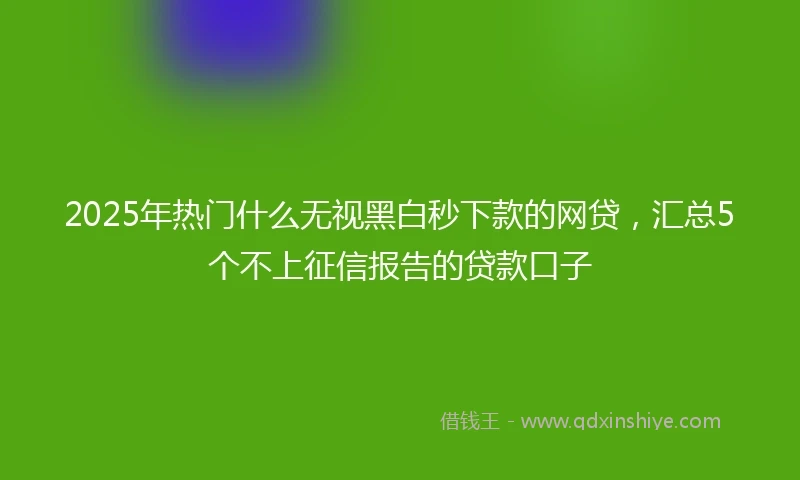 2025年热门什么无视黑白秒下款的网贷,汇总5个不上征信报告的贷款口子