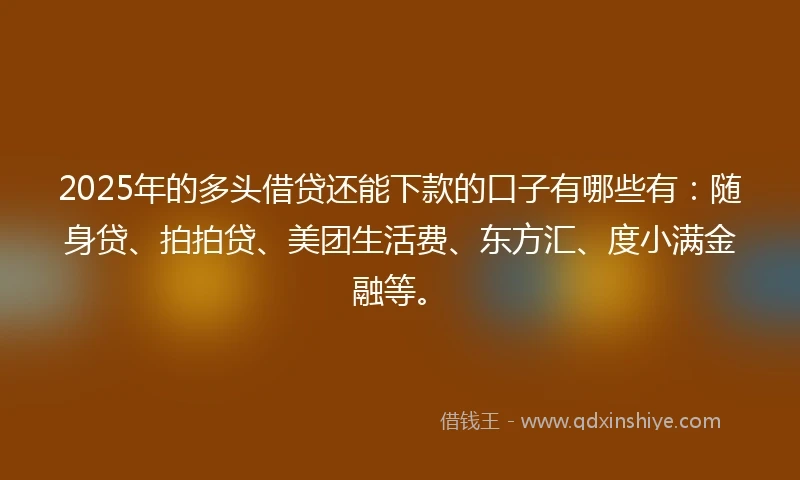 2025年的多头借贷还能下款的口子有哪些有:随身贷、拍拍贷、美团生活费、东方汇、度小满金融等。