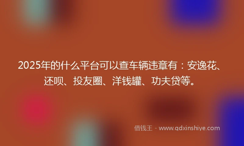 2025年的什么平台可以查车辆违章有：安逸花、还呗、投友圈、洋钱罐、功夫贷等。