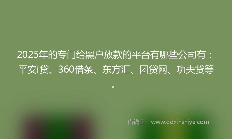 2025年的专门给黑户放款的平台有哪些公司有:平安i贷、360借条、东方汇、团贷网、功夫贷等。