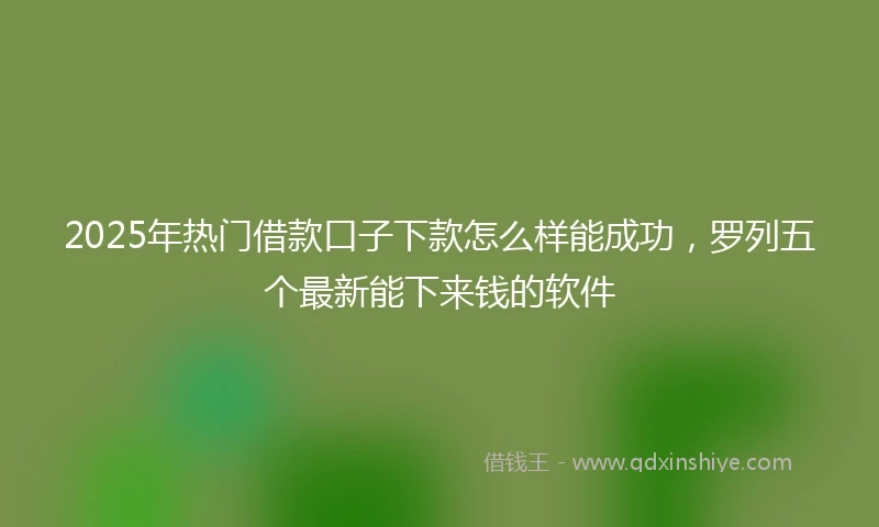 2025年热门借款口子下款怎么样能成功，罗列五个最新能下来钱的软件