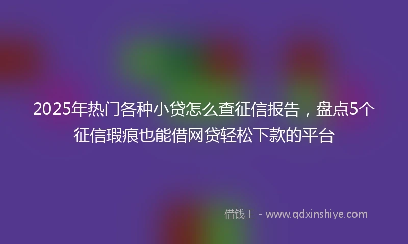 2025年热门各种小贷怎么查征信报告，盘点5个征信瑕疵也能借网贷轻松下款的平台