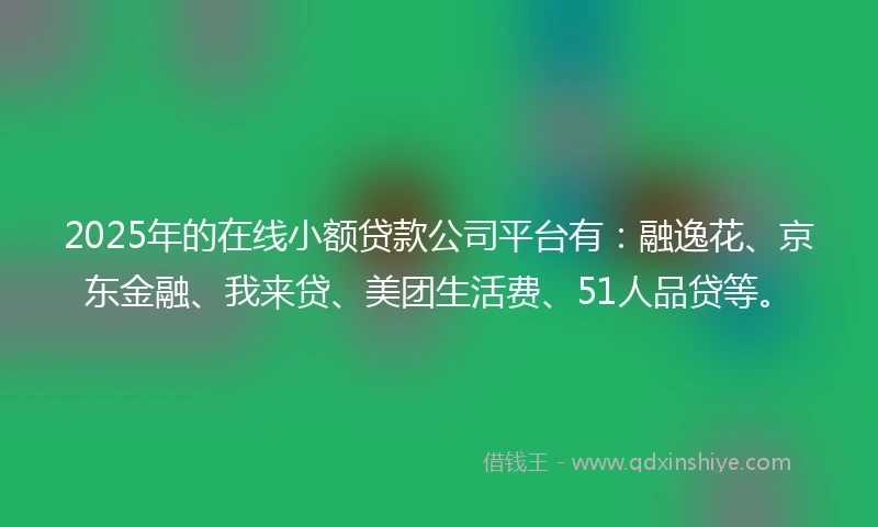 2025年的在线小额贷款公司平台有：融逸花、京东金融、我来贷、美团生活费、51人品贷等。