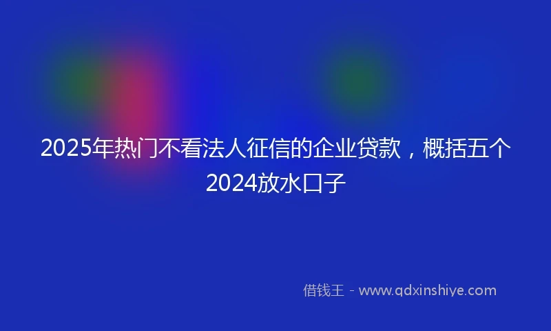 2025年热门不看法人征信的企业贷款，概括五个2024放水口子