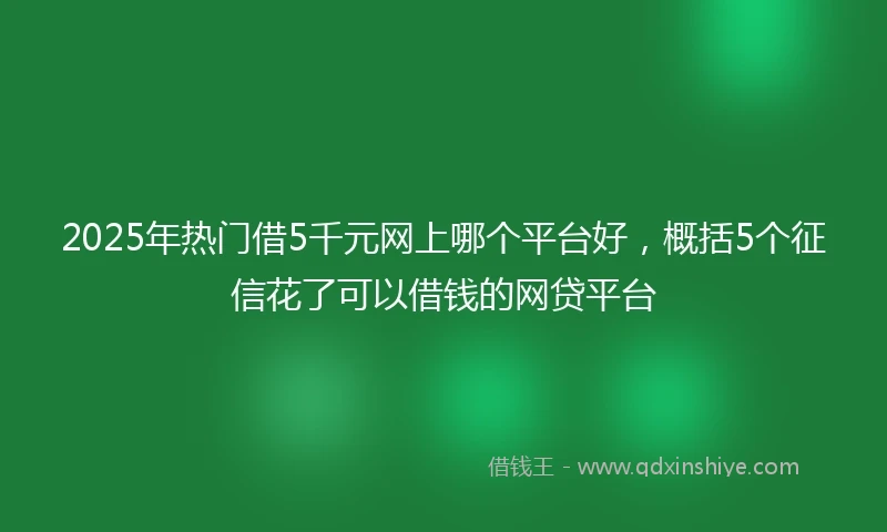 2025年热门借5千元网上哪个平台好,概括5个征信花了可以借钱的网贷平台
