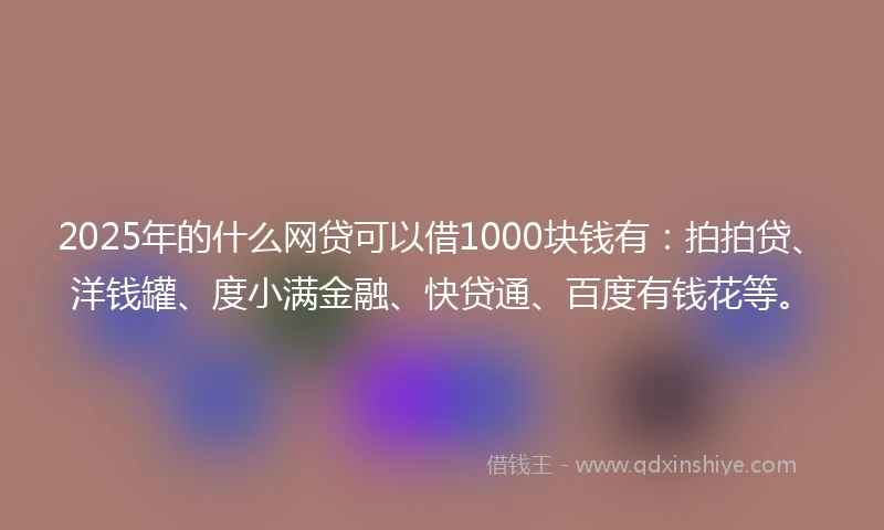 2025年的什么网贷可以借1000块钱有：拍拍贷、洋钱罐、度小满金融、快贷通、百度有钱花等。