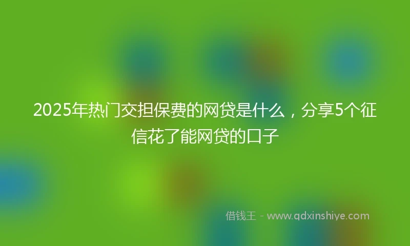 2025年热门交担保费的网贷是什么,分享5个征信花了能网贷的口子