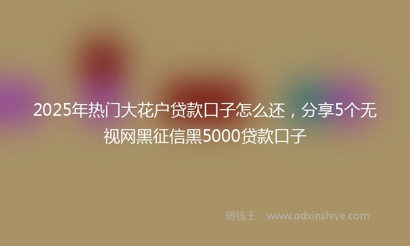 2025年热门大花户贷款口子怎么还，分享5个无视网黑征信黑5000贷款口子