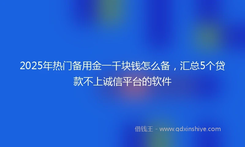 2025年热门备用金一千块钱怎么备，汇总5个贷款不上诚信平台的软件
