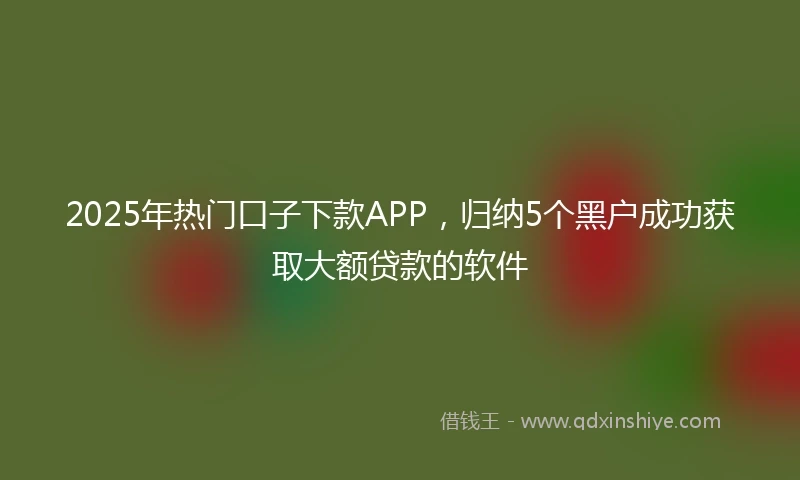2025年热门口子下款APP，归纳5个黑户成功获取大额贷款的软件