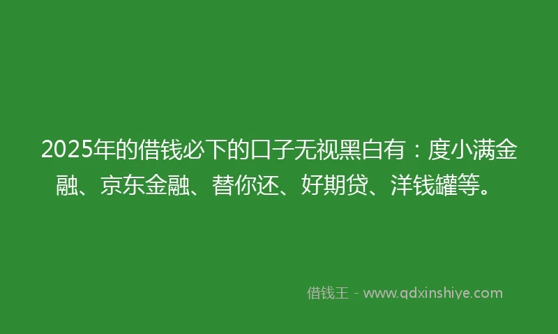 2025年的借钱必下的口子无视黑白有：度小满金融、京东金融、替你还、好期贷、洋钱罐等。