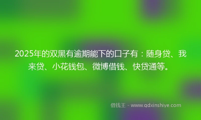 2025年的双黑有逾期能下的口子有：随身贷、我来贷、小花钱包、微博借钱、快贷通等。