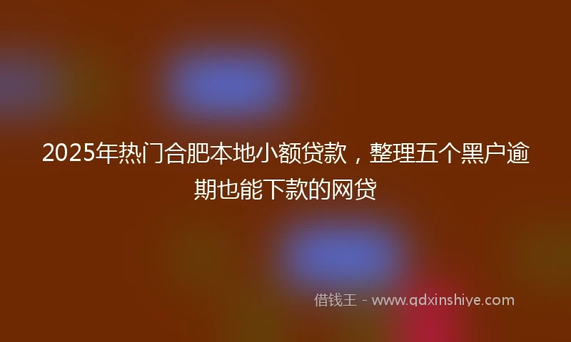 2025年热门合肥本地小额贷款，整理五个黑户逾期也能下款的网贷