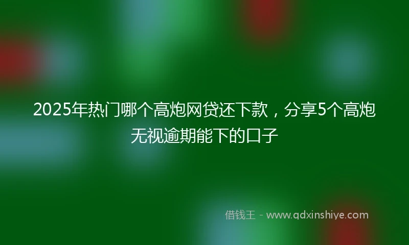 2025年热门哪个高炮网贷还下款,分享5个高炮无视逾期能下的口子