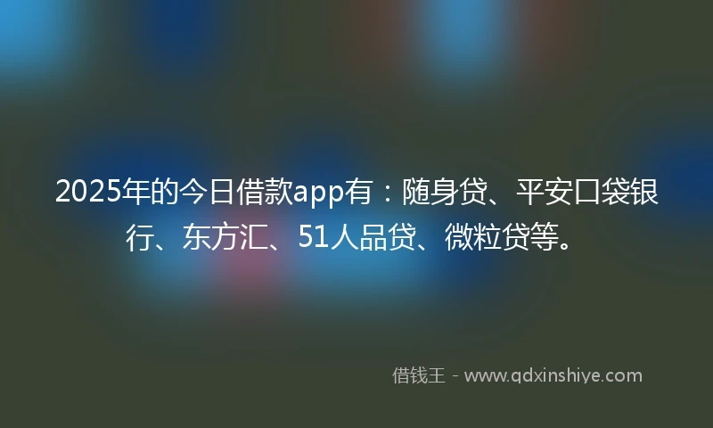 2025年的今日借款app有：随身贷、平安口袋银行、东方汇、51人品贷、微粒贷等。