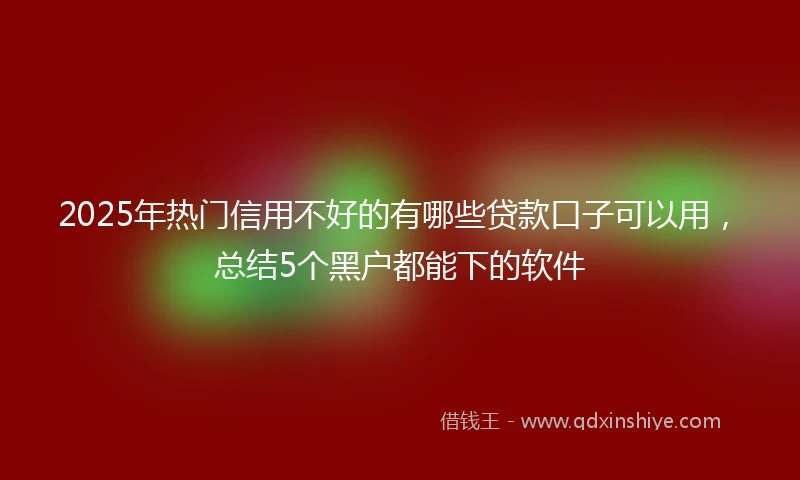 2025年热门信用不好的有哪些贷款口子可以用，总结5个黑户都能下的软件