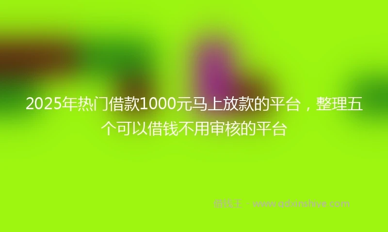 2025年热门借款1000元马上放款的平台,整理五个可以借钱不用审核的平台