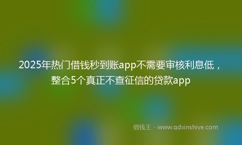 2025年热门借钱秒到账app不需要审核利息低，整合5个真正不查征信的贷款app