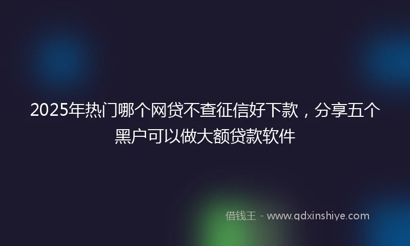 2025年热门哪个网贷不查征信好下款,分享五个黑户可以做大额贷款软件