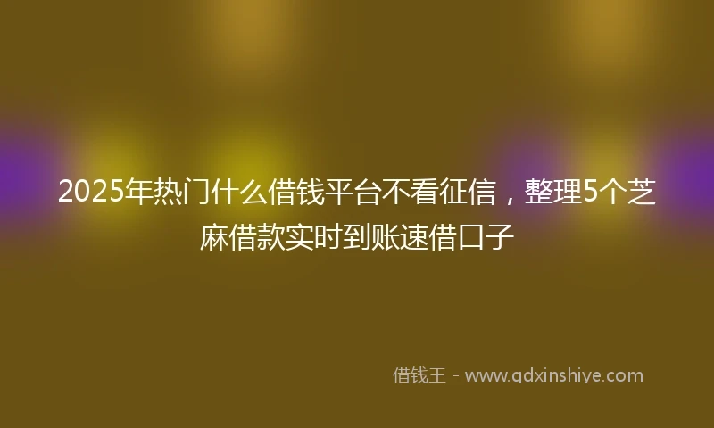 2025年热门什么借钱平台不看征信，整理5个芝麻借款实时到账速借口子
