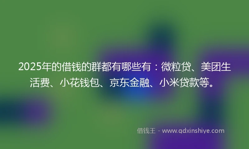 2025年的借钱的群都有哪些有：微粒贷、美团生活费、小花钱包、京东金融、小米贷款等。