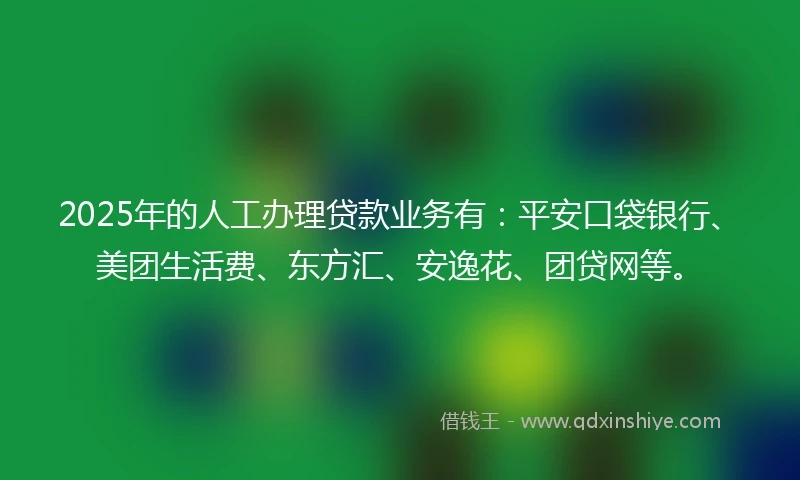 2025年的人工办理贷款业务有:平安口袋银行、美团生活费、东方汇、安逸花、团贷网等。