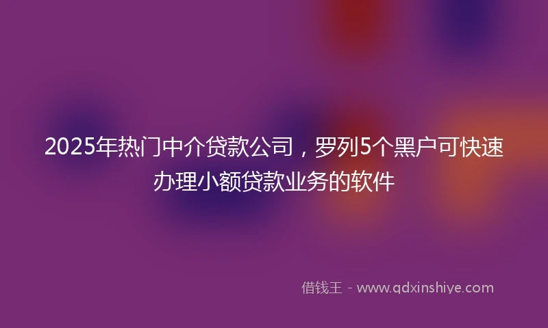 2025年热门中介贷款公司，罗列5个黑户可快速办理小额贷款业务的软件