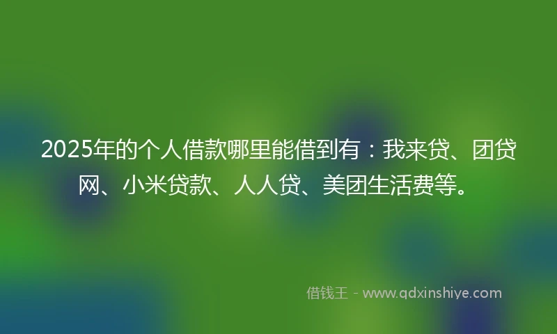 2025年的个人借款哪里能借到有：我来贷、团贷网、小米贷款、人人贷、美团生活费等。