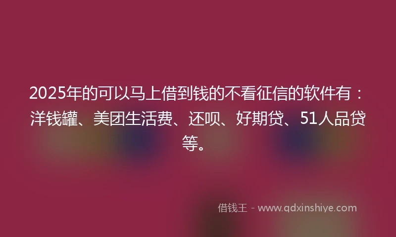 2025年的可以马上借到钱的不看征信的软件有：洋钱罐、美团生活费、还呗、好期贷、51人品贷等。