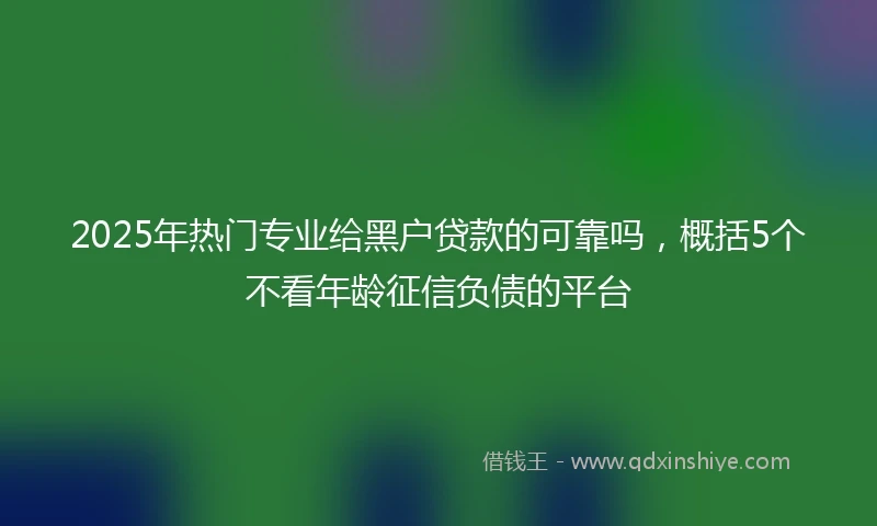 2025年热门专业给黑户贷款的可靠吗，概括5个不看年龄征信负债的平台