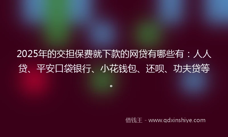 2025年的交担保费就下款的网贷有哪些有：人人贷、平安口袋银行、小花钱包、还呗、功夫贷等。
